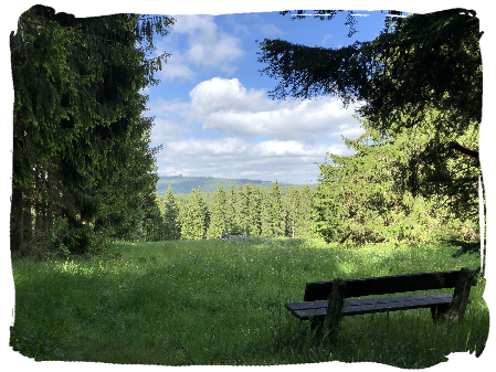 Séjour de jeûne au vert en pleine nature